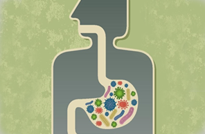 Gut Bacteria Affects Brain Function